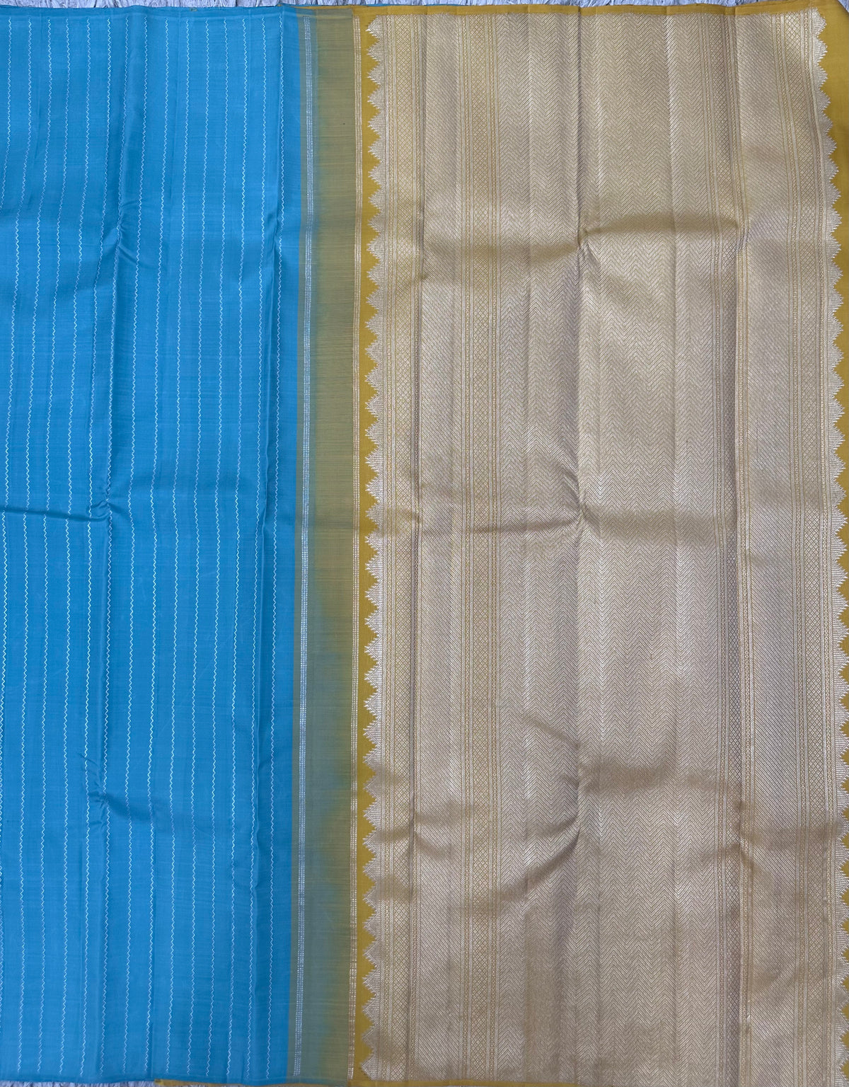 Kanchi Pattu Border Less Sarees