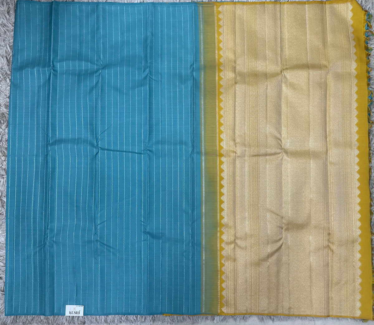Kanchi Pattu Border Less Sarees