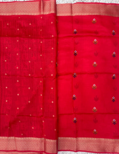 Munga Fancy Saree with Patola Pallu