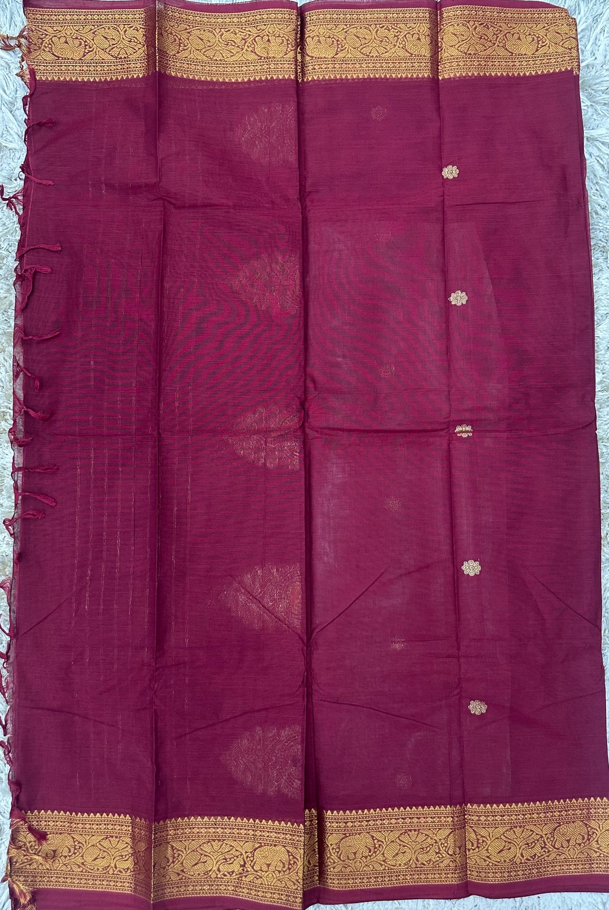 Kanchi Cotton Sarees with Heavy Pallu