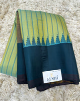 Gadwal pattu plain border saree