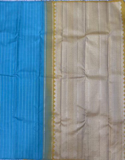 Kanchi Pattu Border Less Sarees