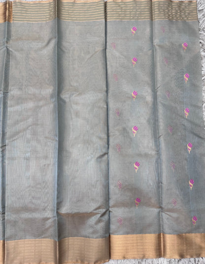 Chanderi Tissue Pattu with Kanchi Border Saree