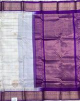 Cream Venkatgiri Pattu Saree with Checks