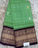 Green Checks Venkatgiri Pattu Saree