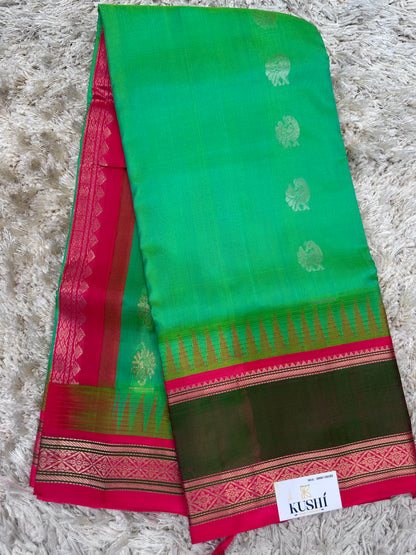 Venkatagiri Pattu Saree with Gap Border